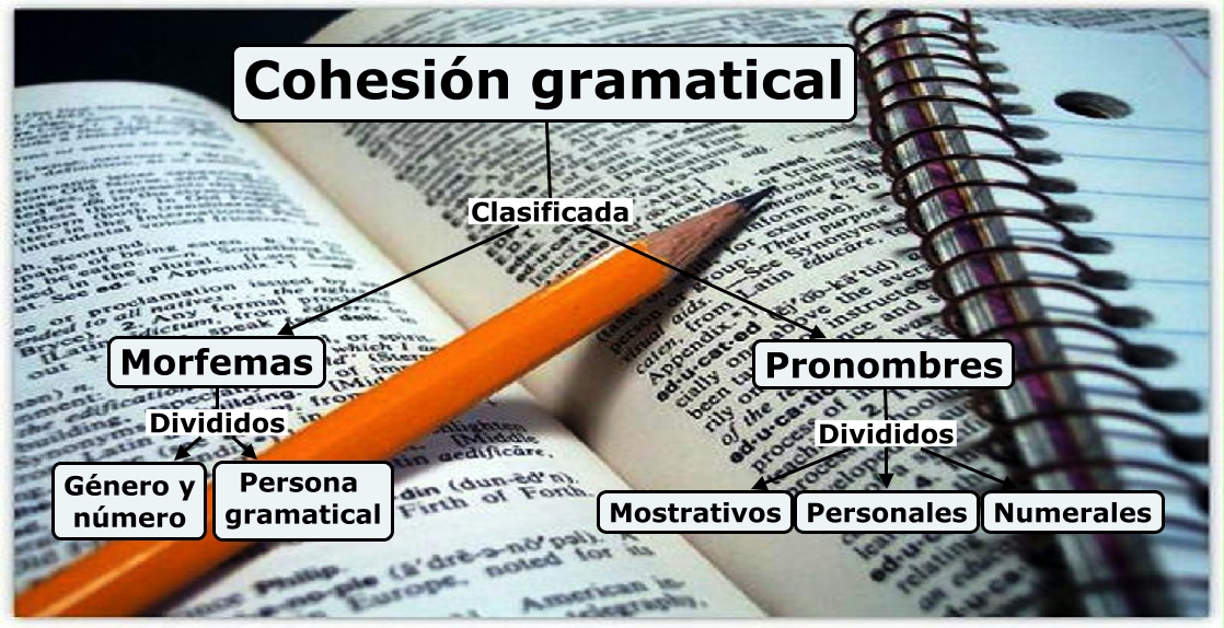 Cohesión Gramatical 0403